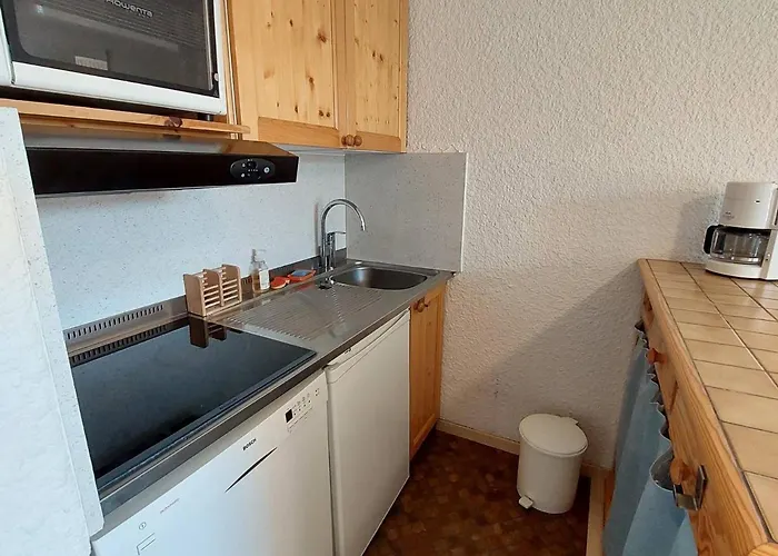 Apartment 2 Pieces Au Centre Des Deux Alpes, 6 Pers - Fr-1-516-206 *